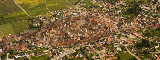 grand_cru_eguisheim.jpg (93 KB)